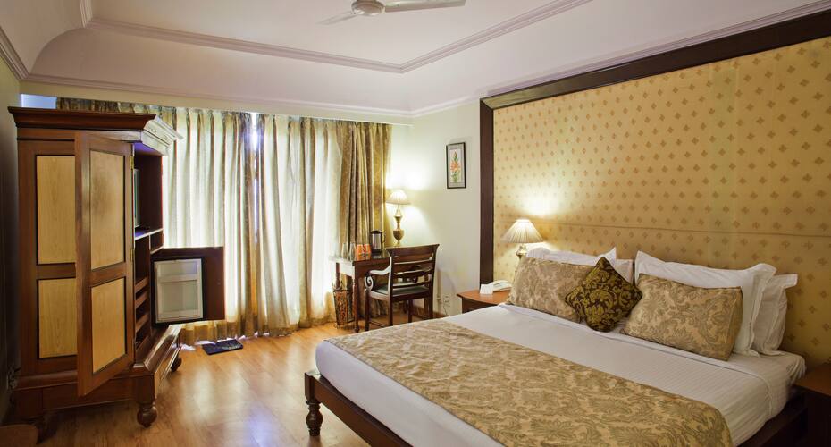 Hotel RajBlas-A Boutique Hotel, Hansi 2